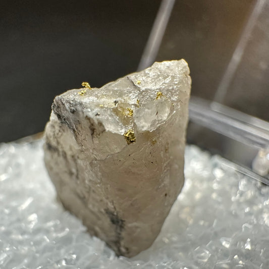 Gold (Specimen #300026)