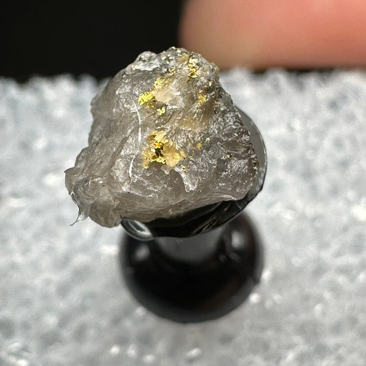 Gold (Specimen #300023)
