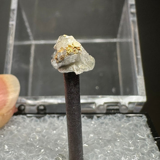 Gold (Specimen #300024)