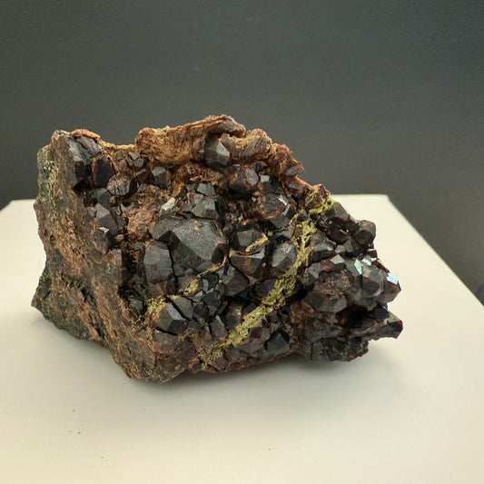 Garnet (Andradite-Grossular) (Specimen #100292)