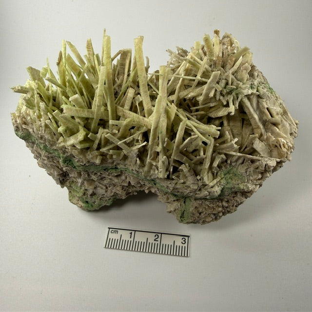 Diopside/Garnet (var. chrome grossular) (Specimen #100332)