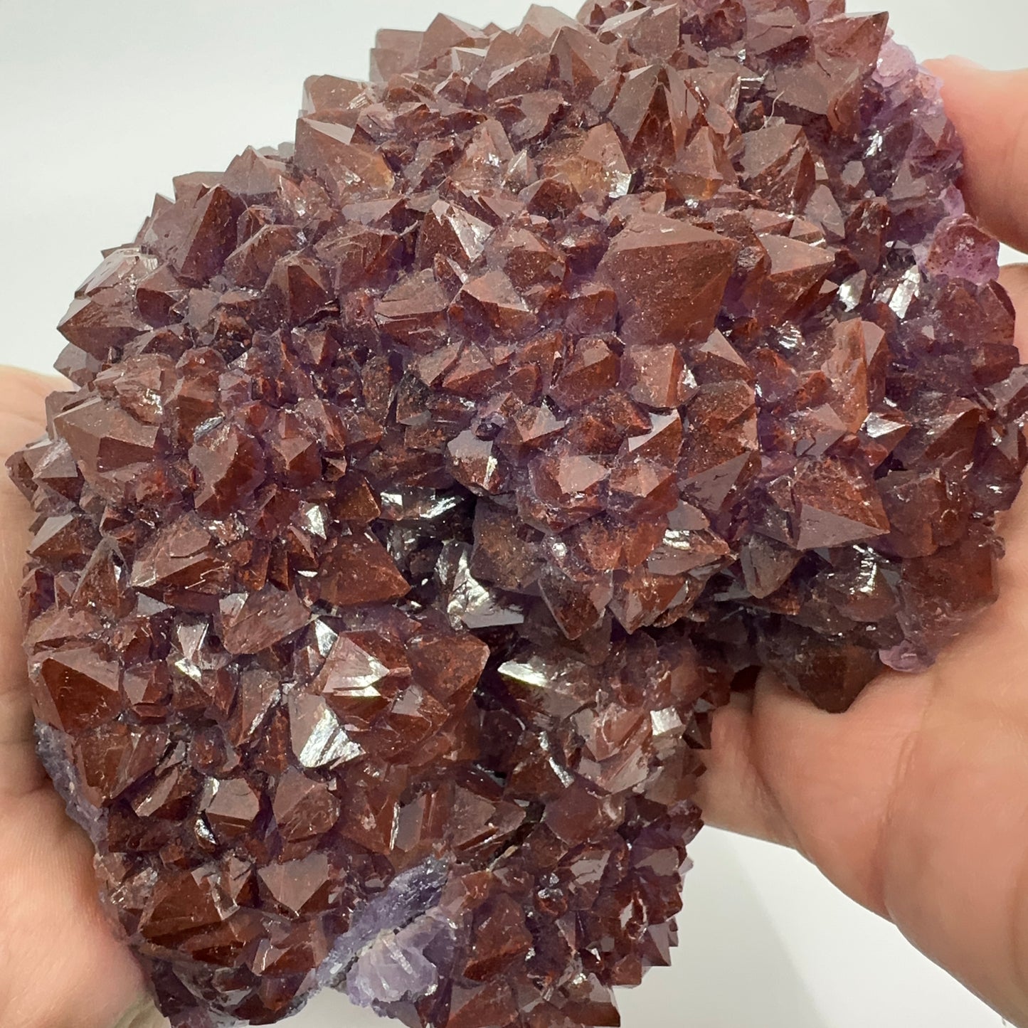 Amethyst (Redcap) (Specimen #100232)