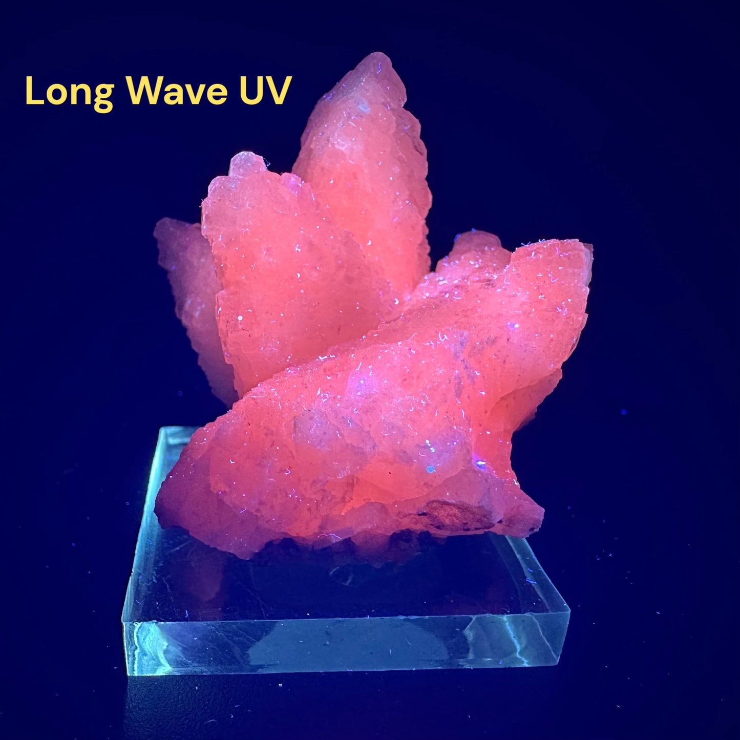 Calcite, Pyrite (Specimen #300030)