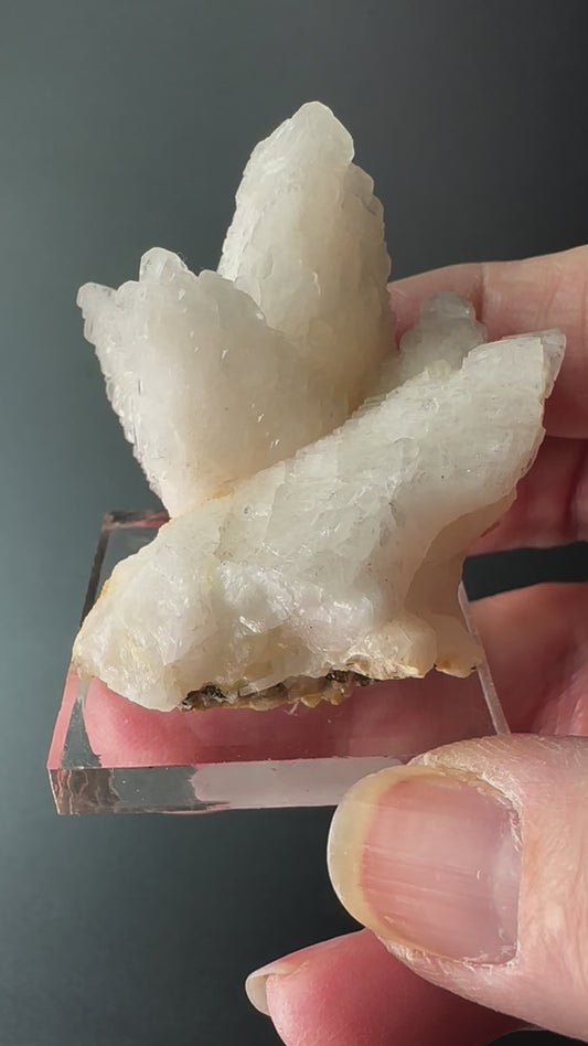 Calcite, Pyrite (Specimen #300030)