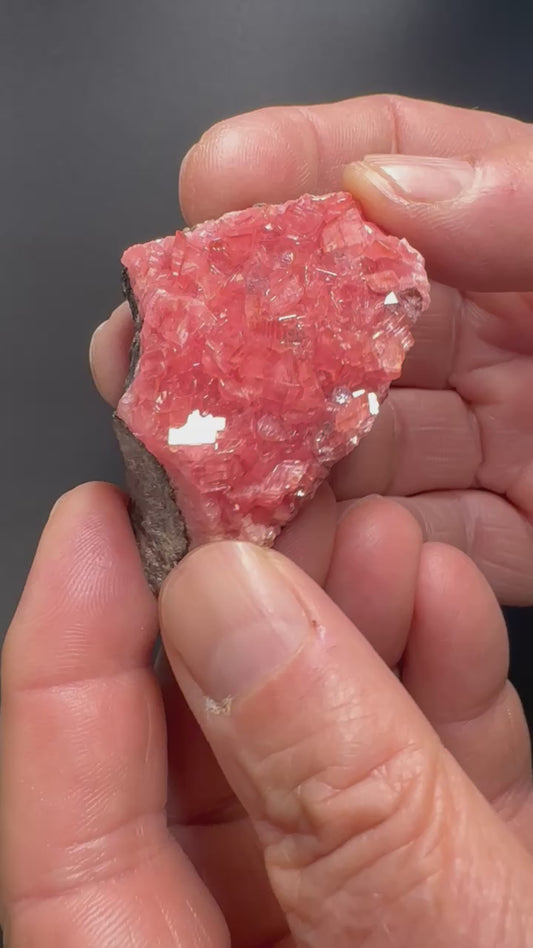 Rhodochrosite (Specimen #100262)