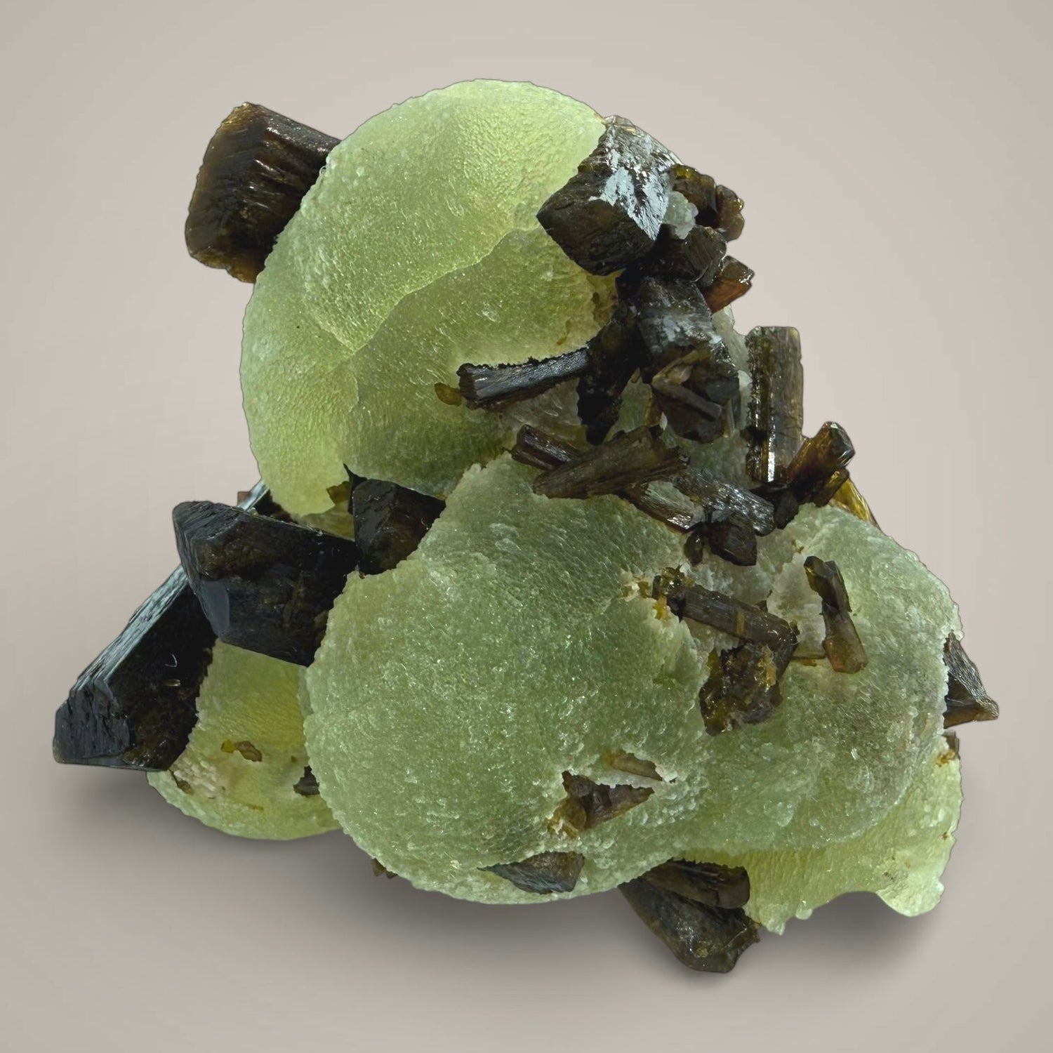 Richard Le Sueur Collection