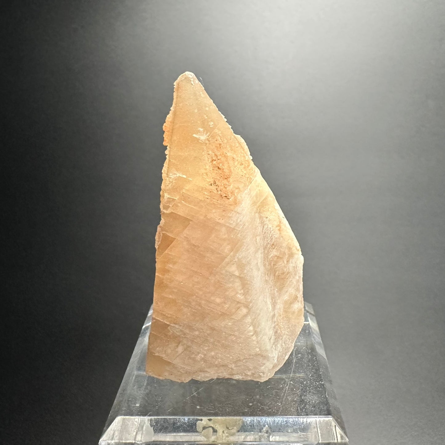 Calcite (Specimen #300013)