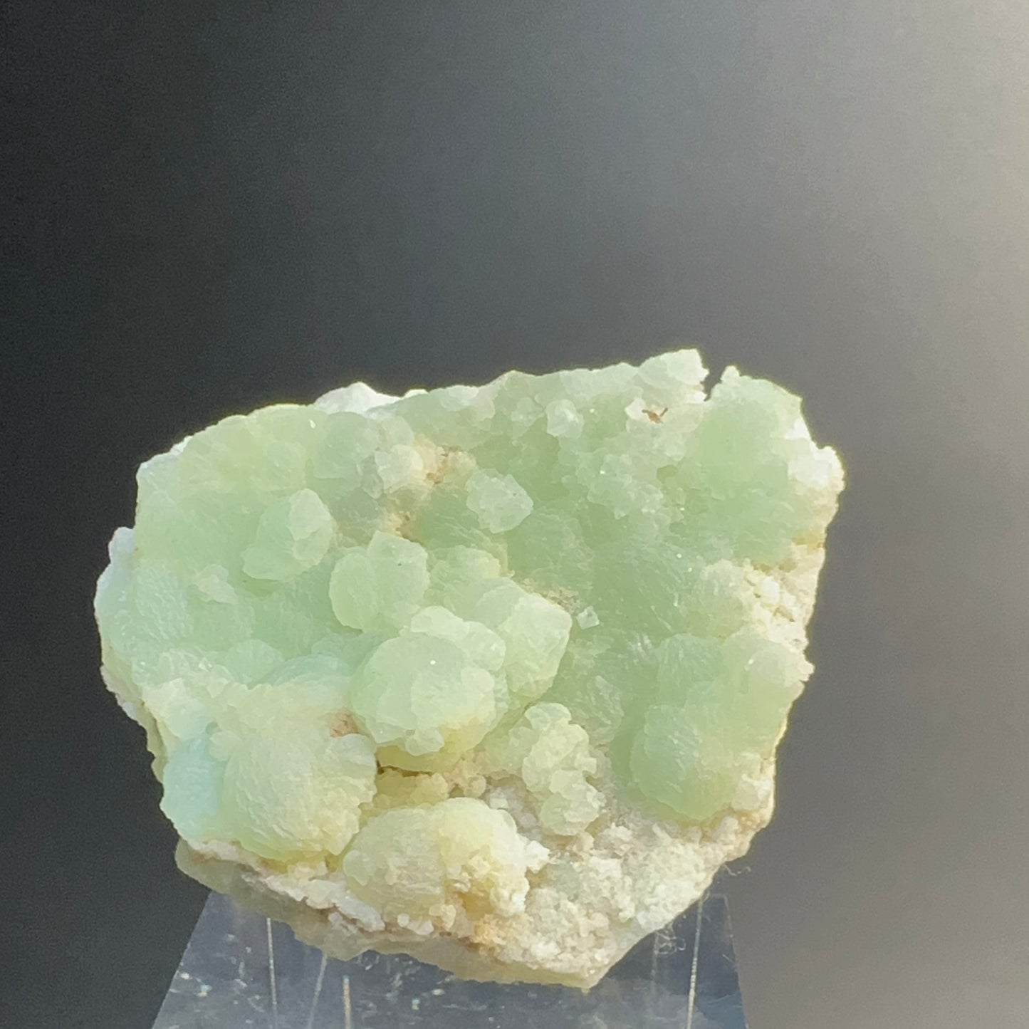 Prehnite (Specimen #100261)