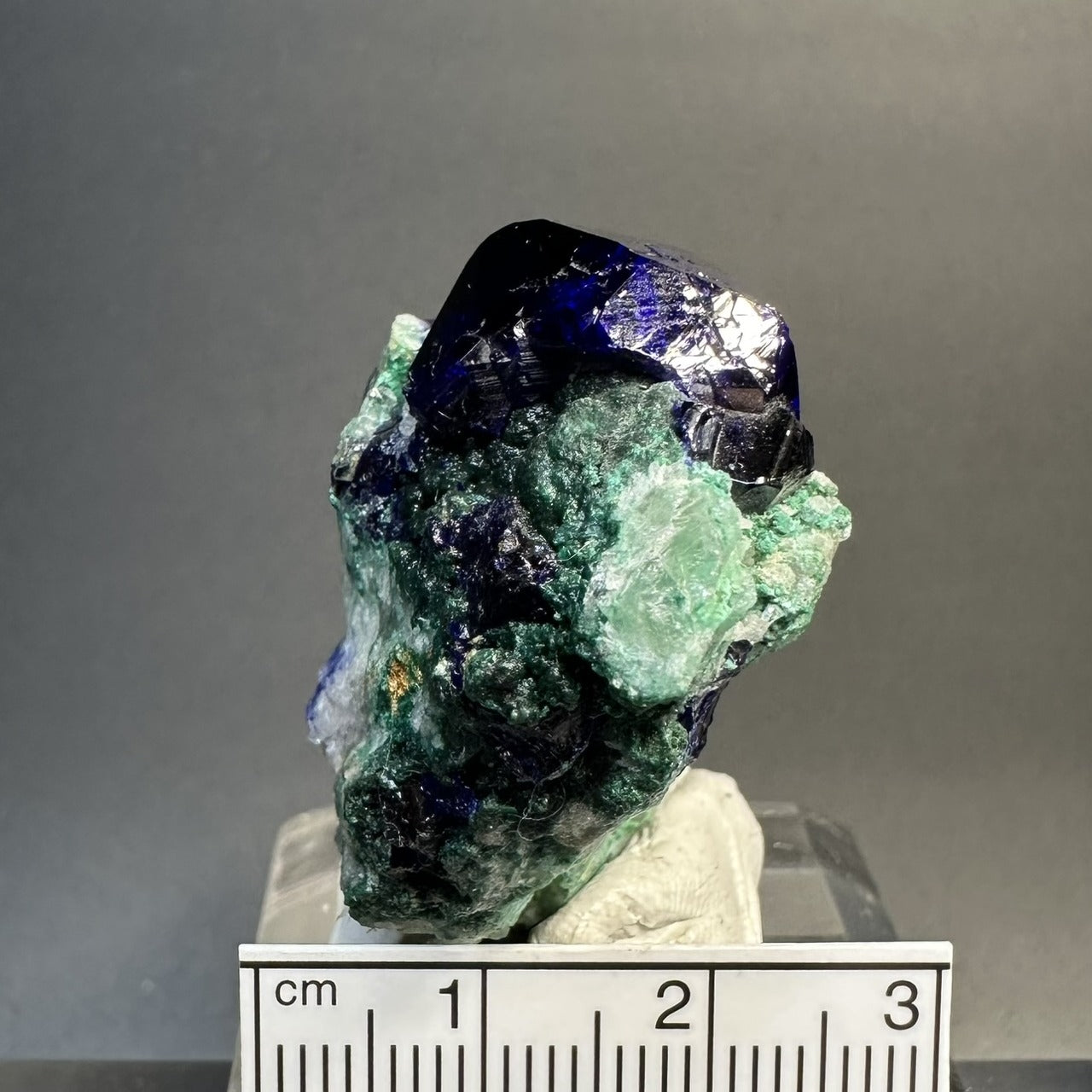 Azurite (Specimen #100270)