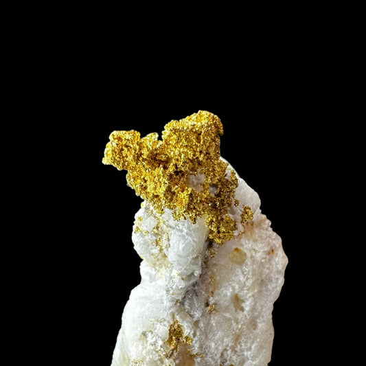 Gold, Harvard Mine, California (Specimen #100273)
