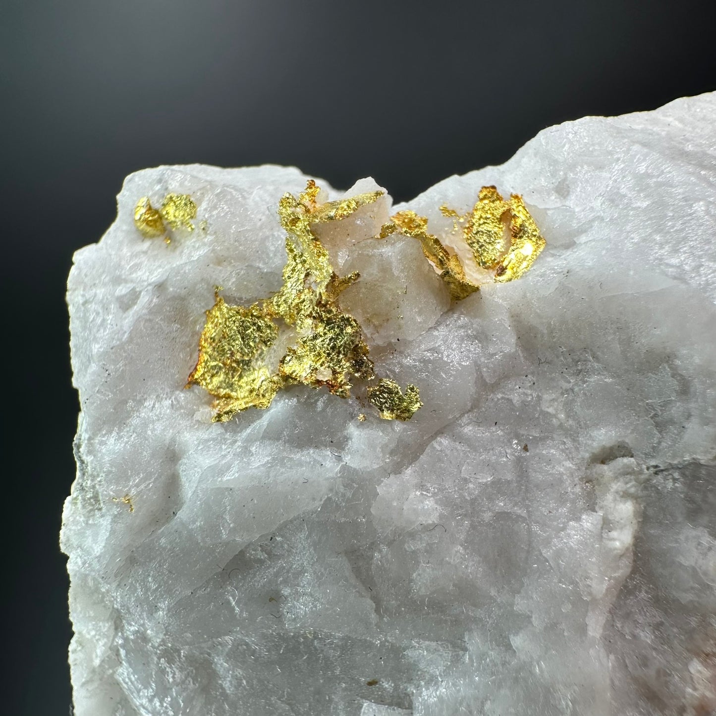 Gold, Hollinger Mine, Timmins (Specimen #300010)