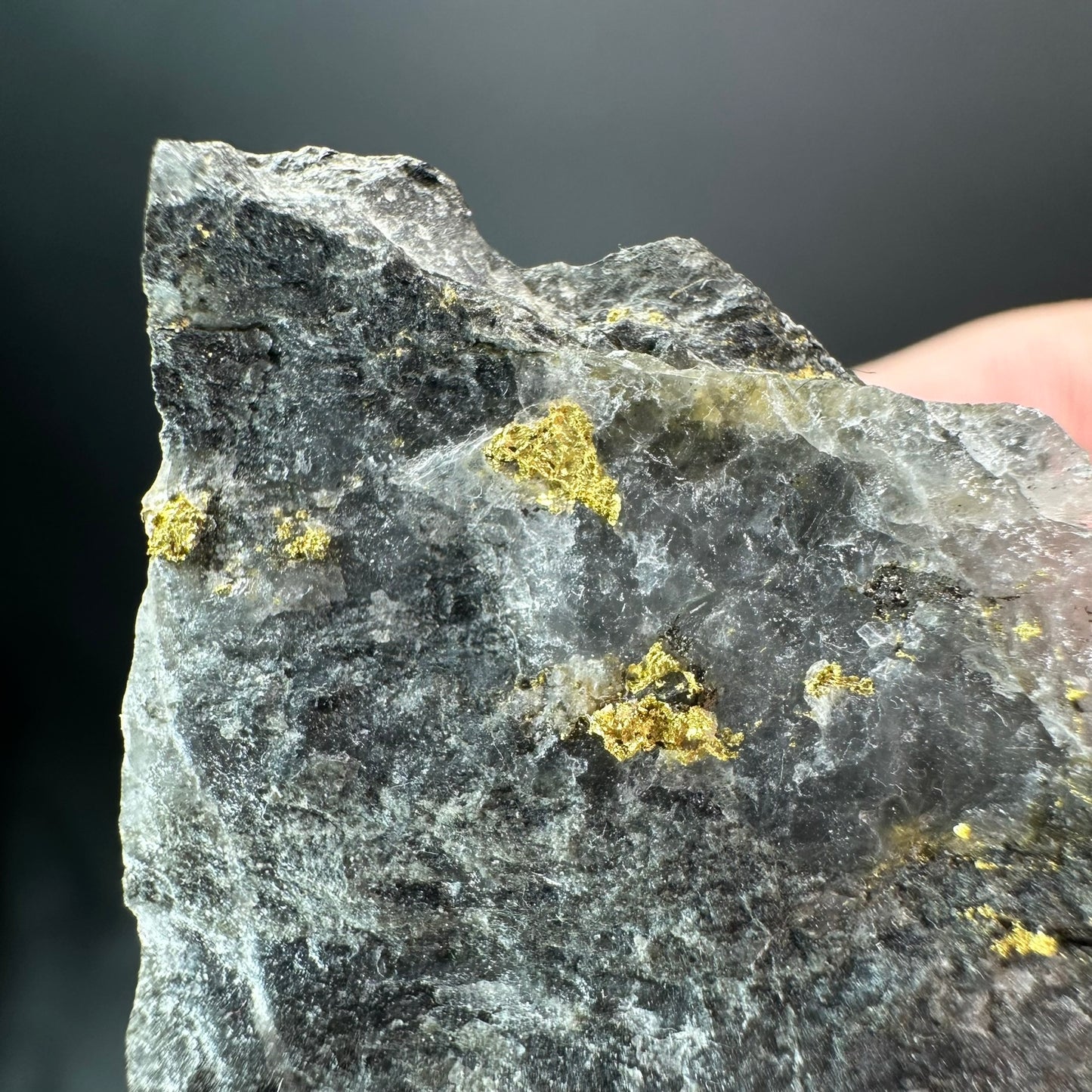 Gold, McIntyre Mine, Timmins (Specimen #300019)