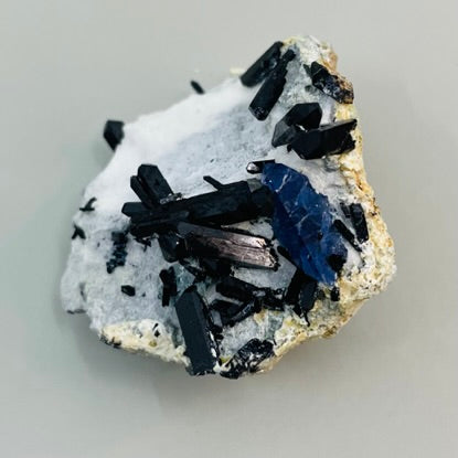 Neptunite (Specimen #100214)