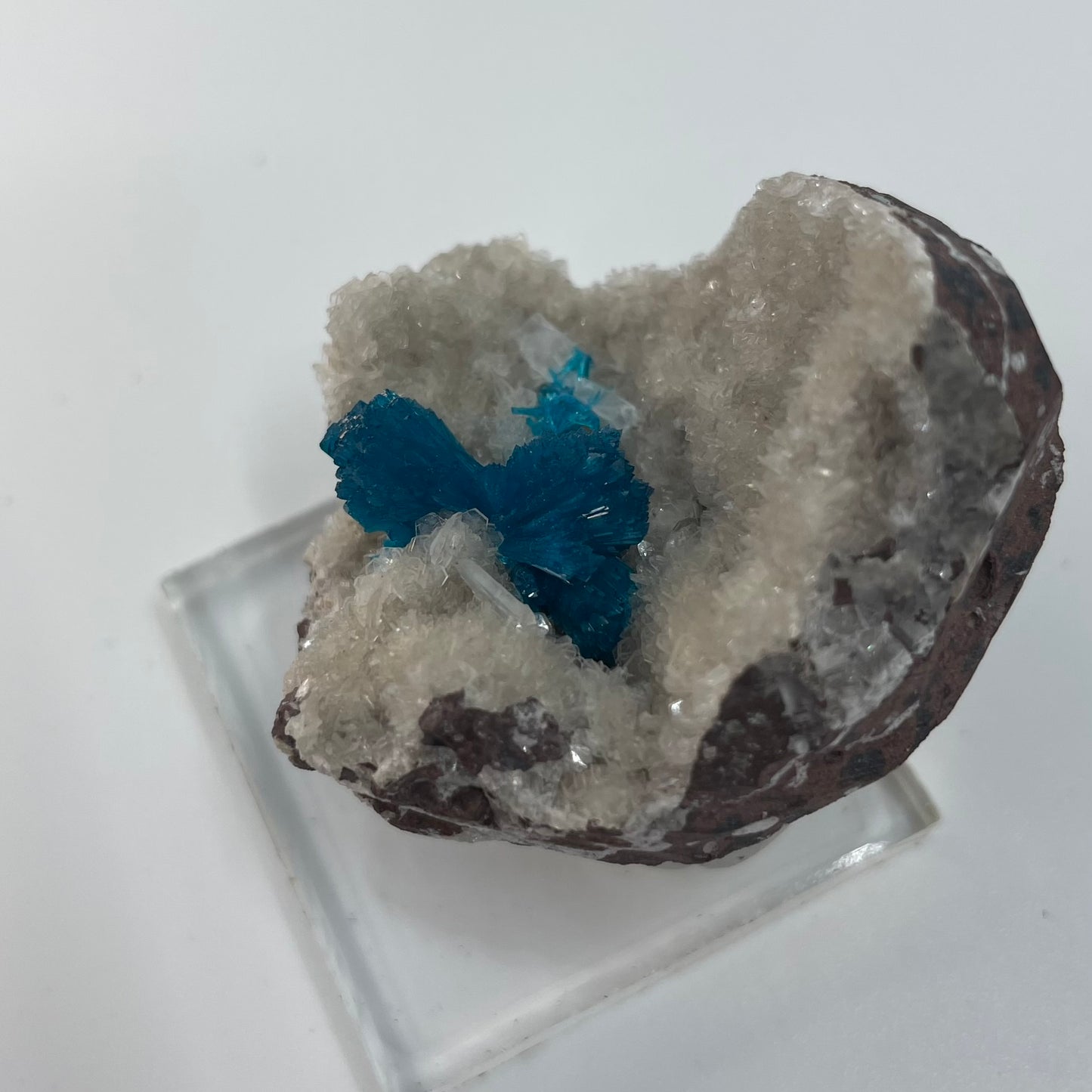 Cavansite (Specimen #100216)