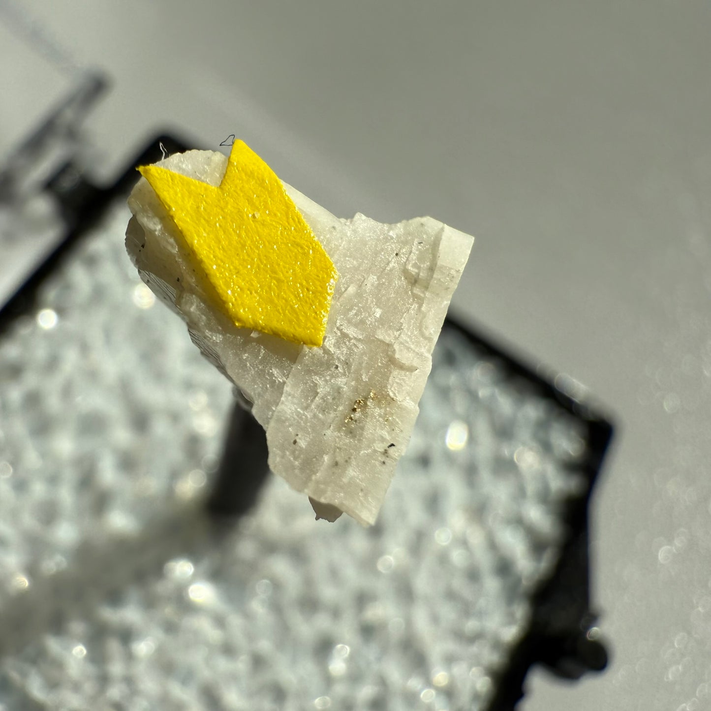 Gold Thumbnail (Specimen #100304)