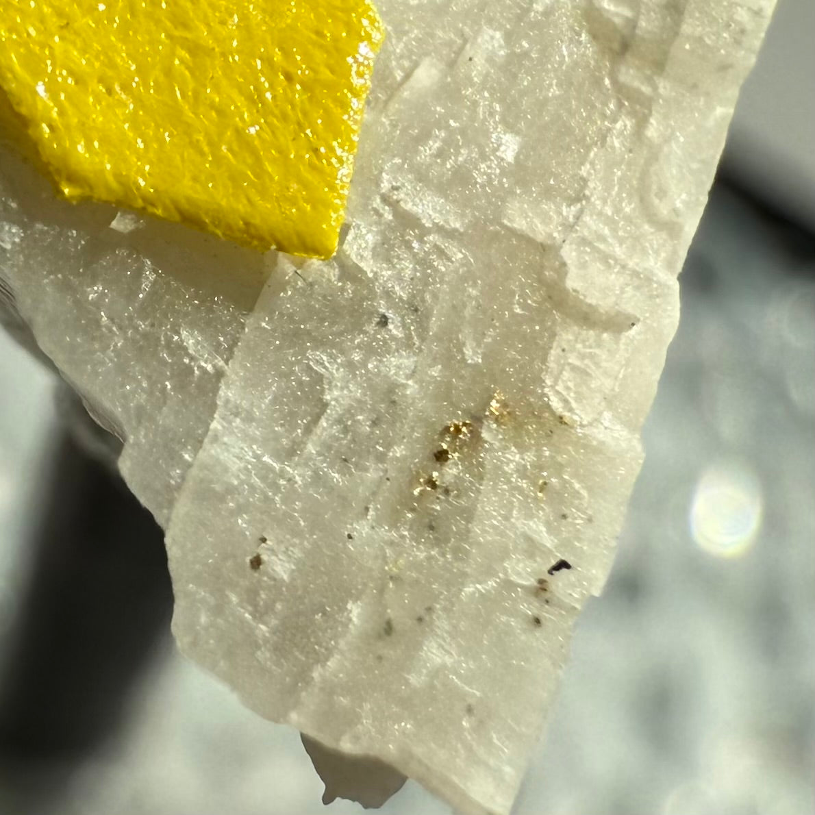 Gold Thumbnail (Specimen #100304)