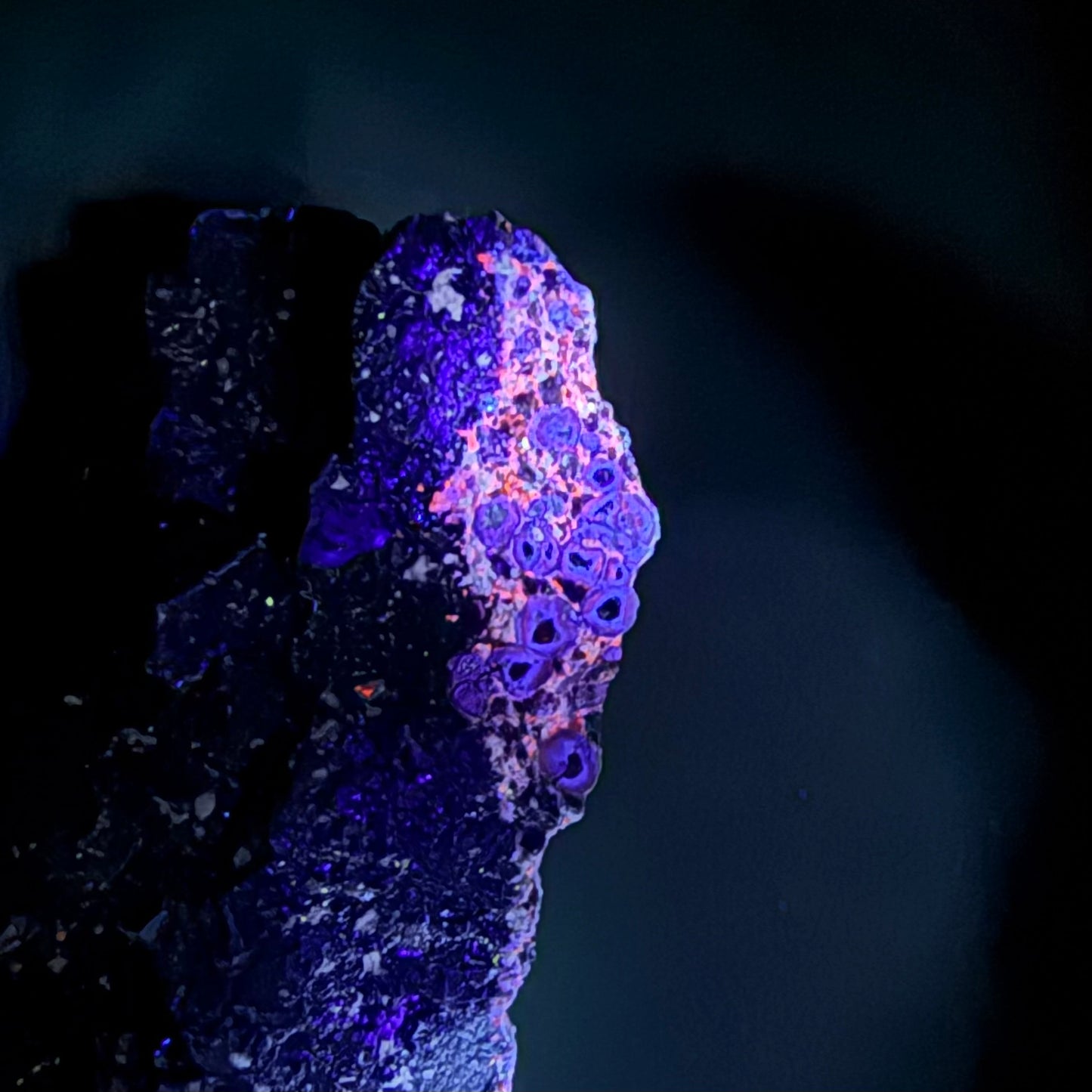 Cubic Magnetite (Specimen #100302)