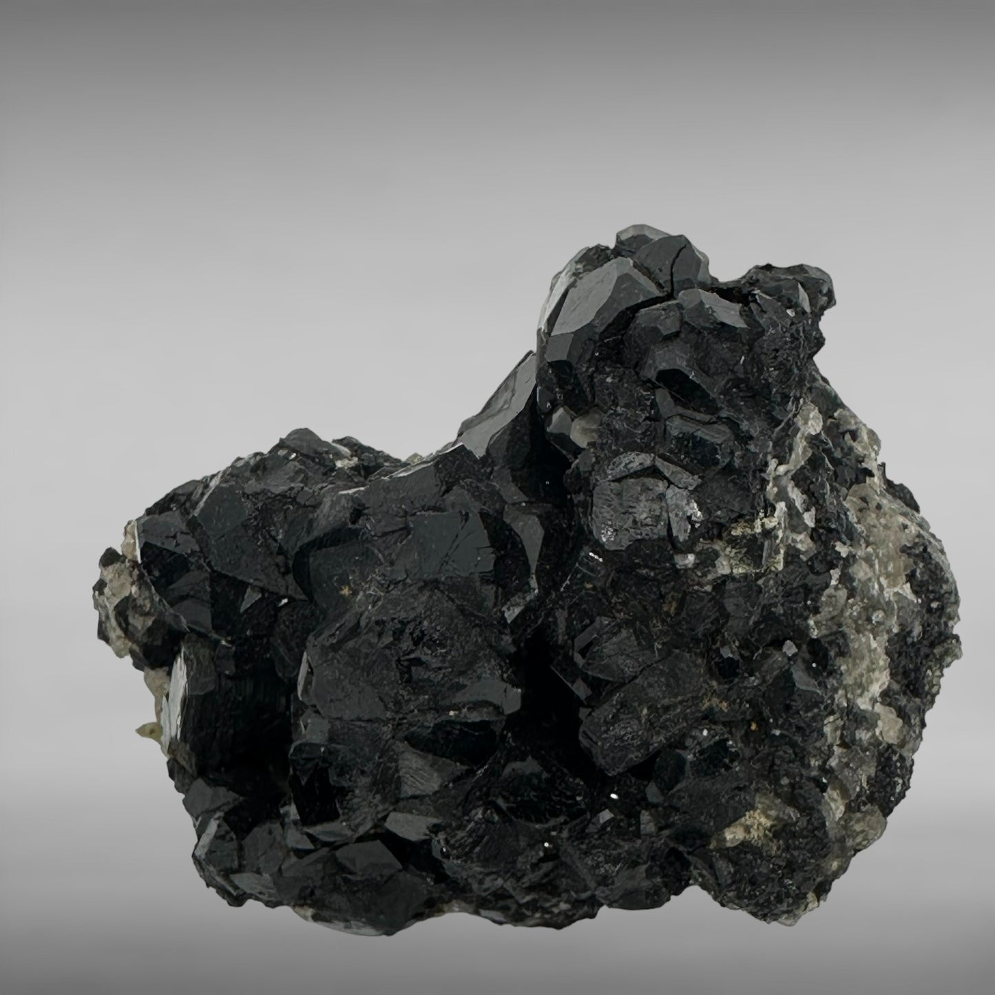 Dravite - Black Tourmaline (Specimen #100050)