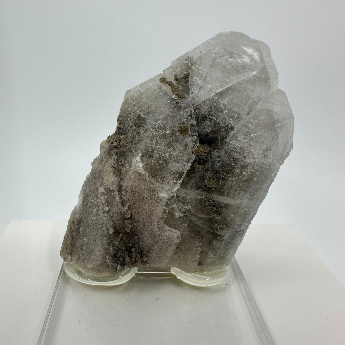 Celestine (Specimen #100059)