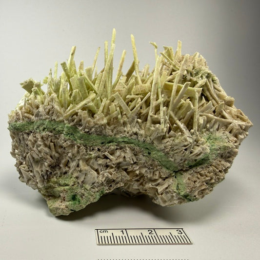 Diopside/Garnet (var. chrome grossular) (Specimen #100332)