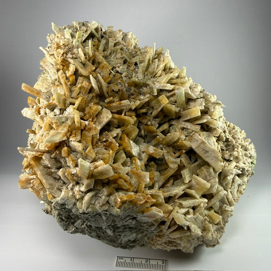 Diopside/Garnet (var. chrome grossular) (Specimen #100333)