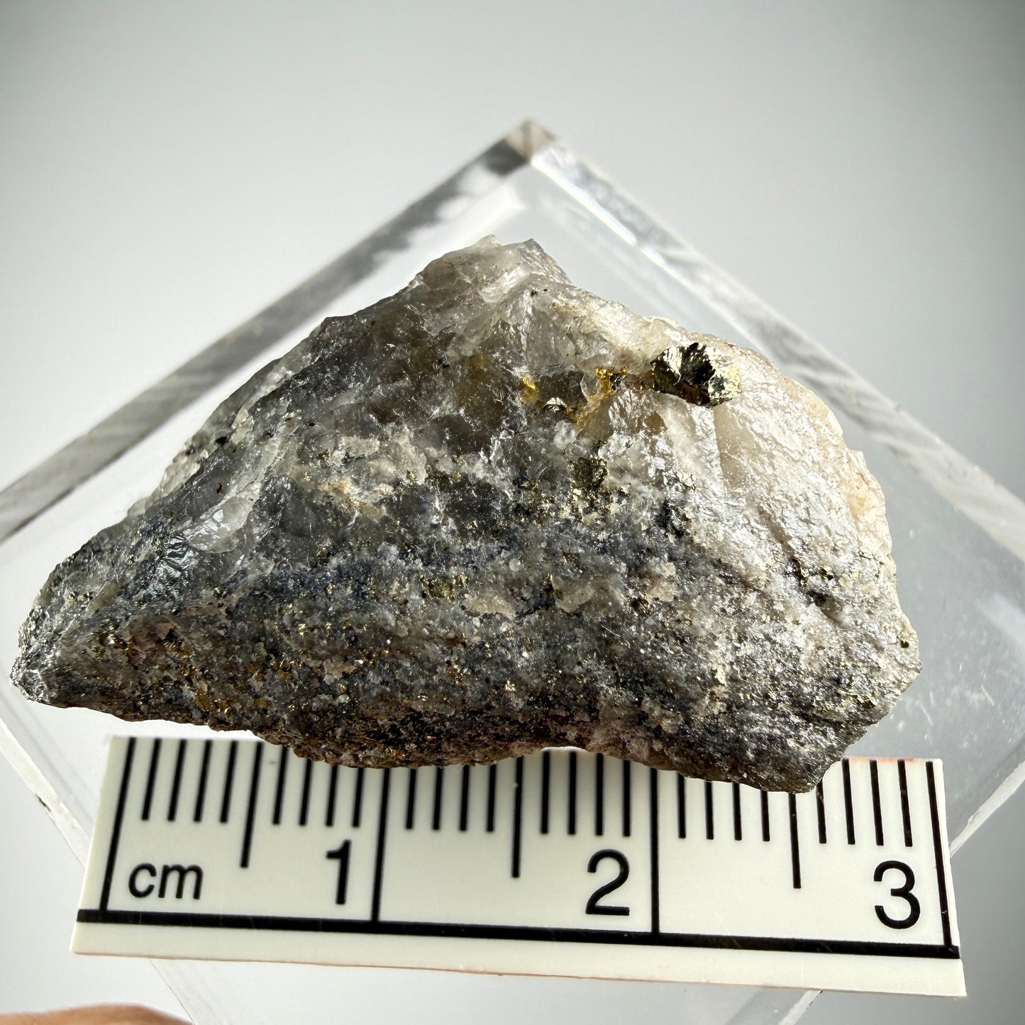 Gold, Quartz (Specimen #300032)