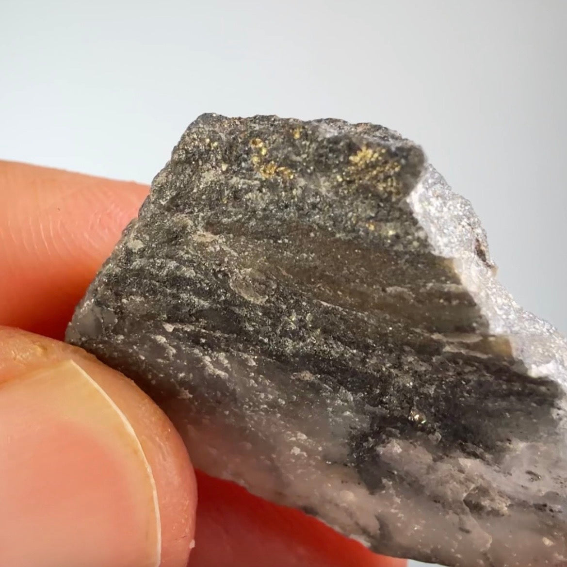Gold, Arsenopyrite, Quartz (Specimen #300035)