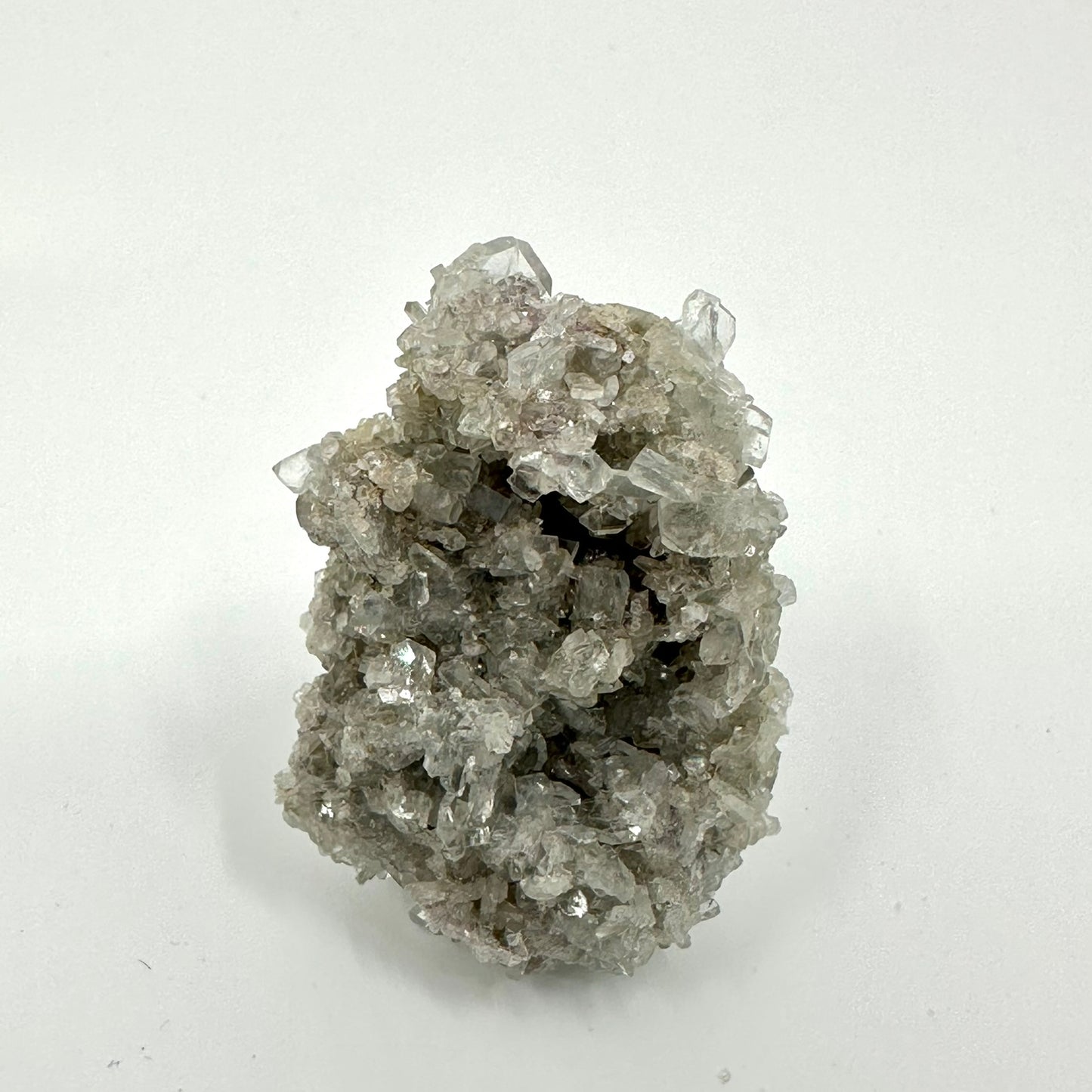 Celestine (Specimen #100063)