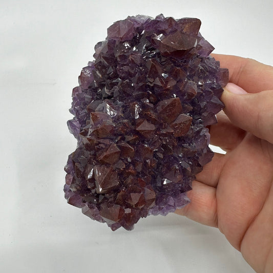 Amethyst (Redcap) (Specimen #100231)