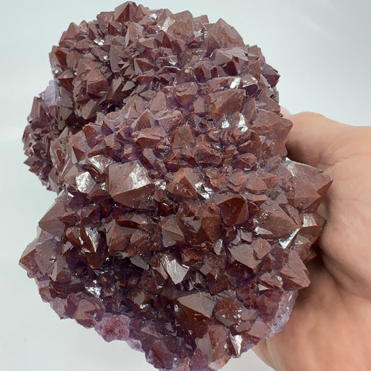 Amethyst (Redcap) (Specimen #100232)