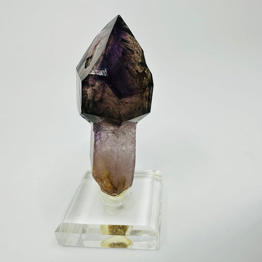 Amethyst Sceptre (Specimen #100246)