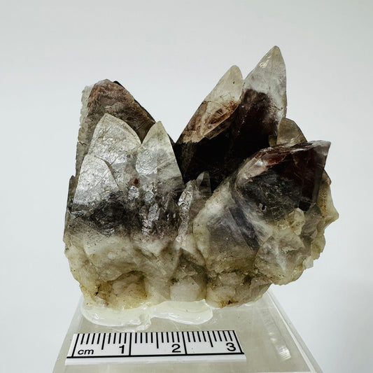 Calcite with Phantoms (Specimen #300015)