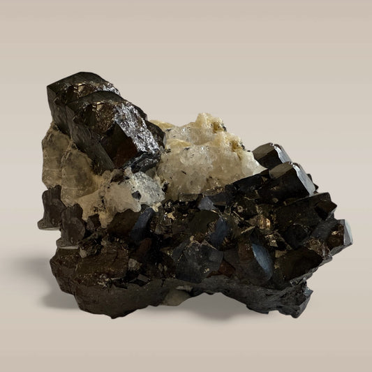 Cubic Magnetite (Specimen #100301)
