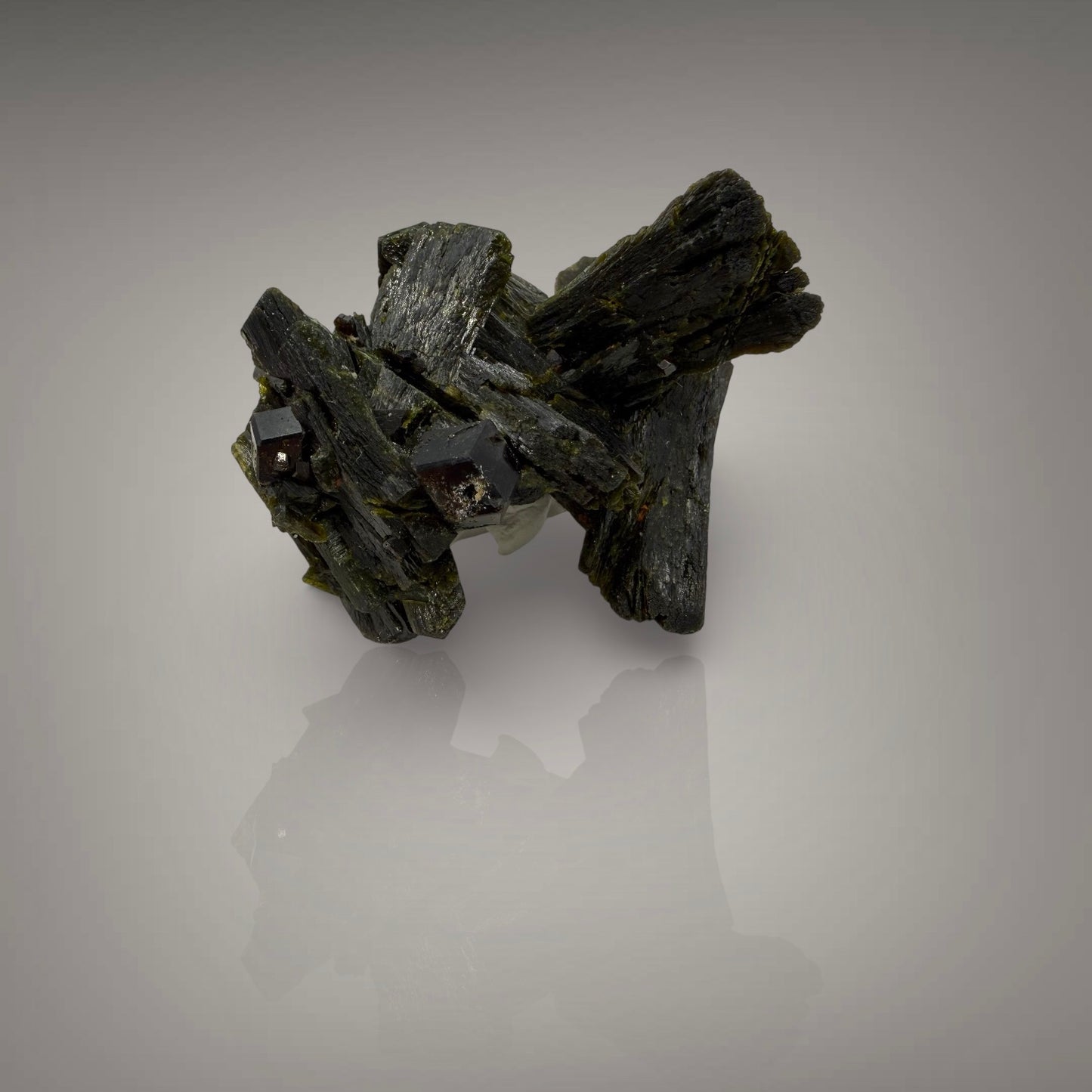 Epidote and Andradite Garnet (var. Melanite) (Specimen #700126)