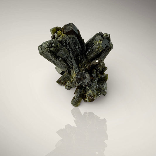 Epidote and Andradite Garnet (var. Melanite) (Specimen #700132)