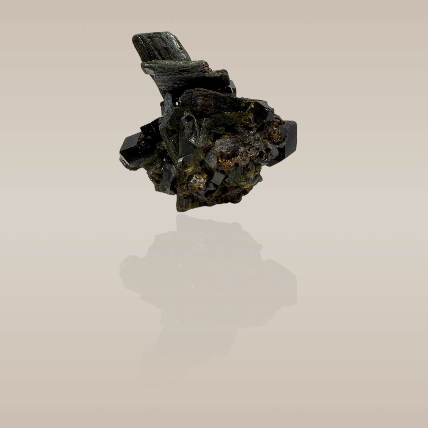 Epidote and Andradite Garnet (var. Melanite) (Specimen #700131)