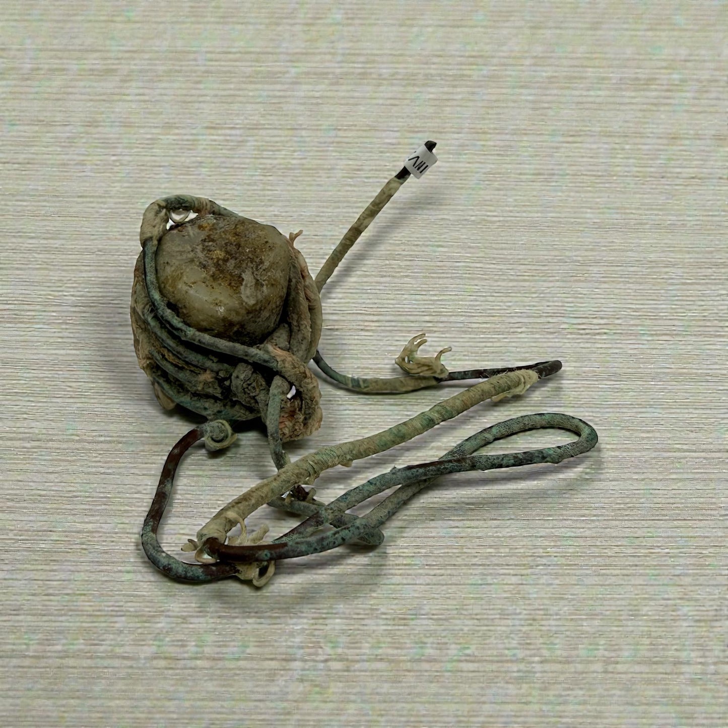 Miner's Candlestick (Specimen #100311)