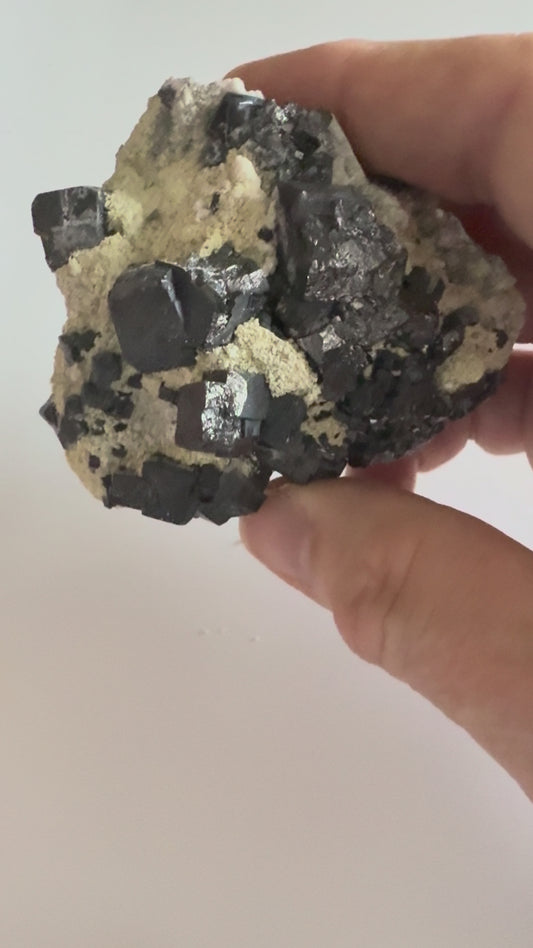 Cubic Magnetite (Specimen #100299)